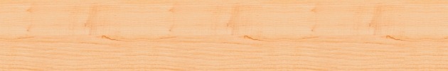 seamless wood floor Professional